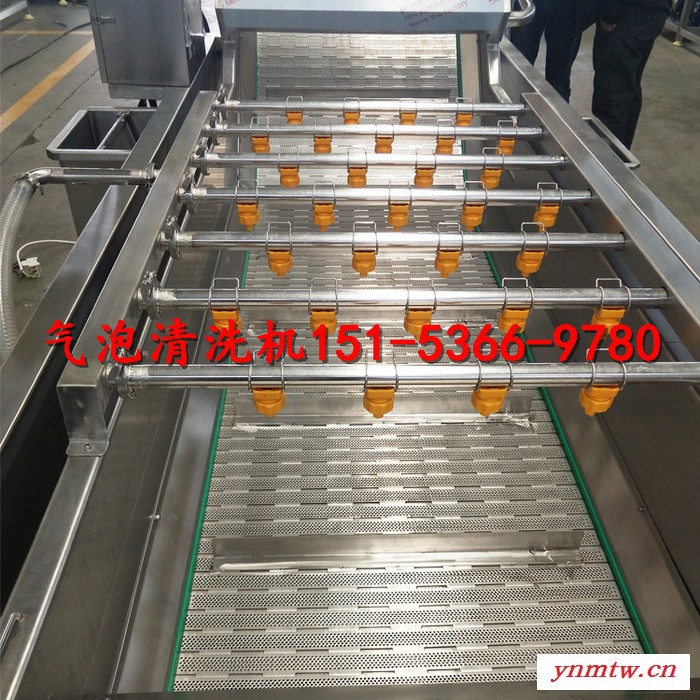 气泡清洗机**鸡爪清洗机 洗菜机蔬菜清洗机 浮选机 浸泡机图7