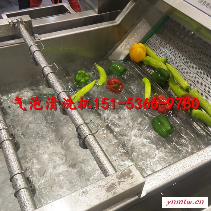 气泡清洗机**鸡爪清洗机 洗菜机蔬菜清洗机 浮选机 浸泡机图4