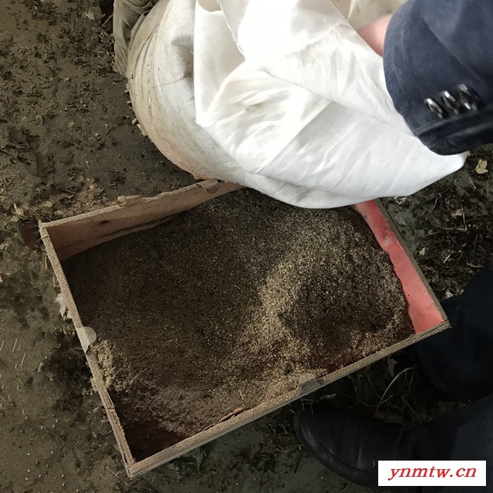 有机肥粪便发酵粉碎机 江门锤片 干湿物料破碎机 生活垃圾粉碎机图2