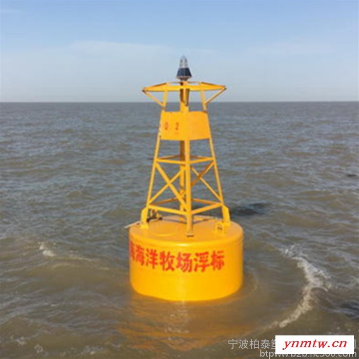 无线电通讯浮标水上监测波浪浮标覆盖可选图3