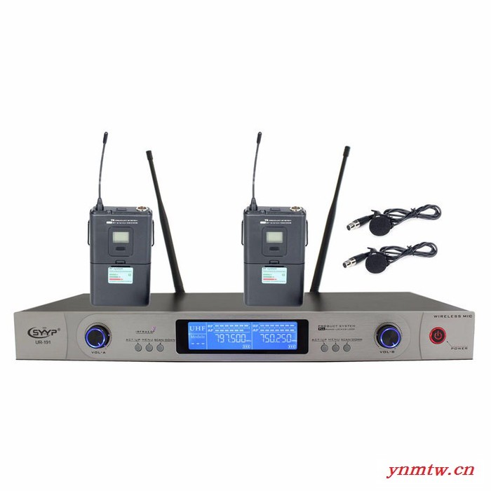 GOLDmicphone金麦风GM6530 一拖二无线麦克风，无线手持，KTV专用，舞台专用，会议话筒，视频会议系统图4
