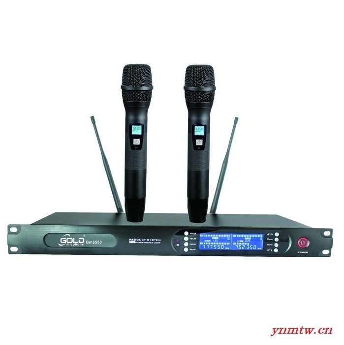 GOLDmicphone  GM6550无线麦克风话筒，一拖二手持，舞台演出话筒，会议话筒，无线会议系统图3