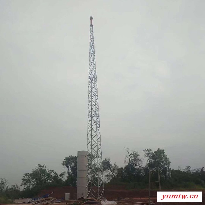 避雷塔_45米GFL三角避雷塔_辉腾钢结构_避雷保护装置图2
