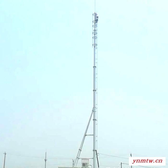 厂家供应  无线通讯塔仿生通讯塔角钢通讯塔图5