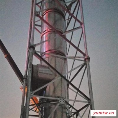 环保烟囱塔 烟囱支撑塔架 废气排放塔 烟囱保护装置 批发商
