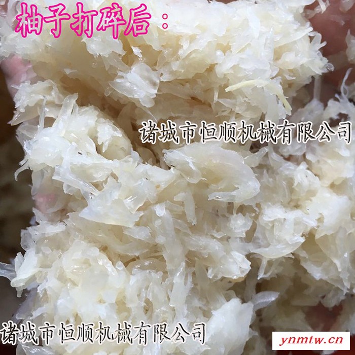 梨汁、梨膏、梨姜破碎机 莱阳梨破碎粉碎设备 西红柿、圣女果打浆图1