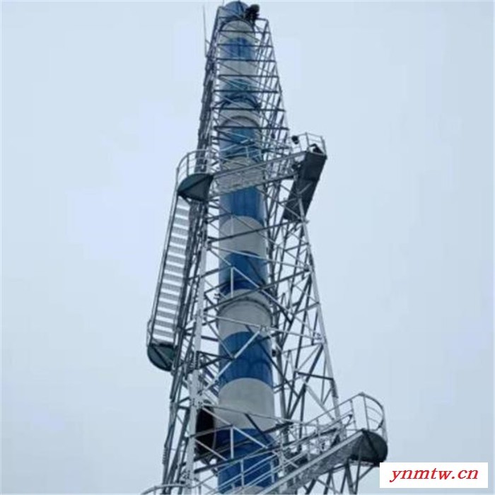 德亚公司 专业设计生产制作安装环保烟囱塔 烟囱保护装置 生产厂家 价格实惠图2