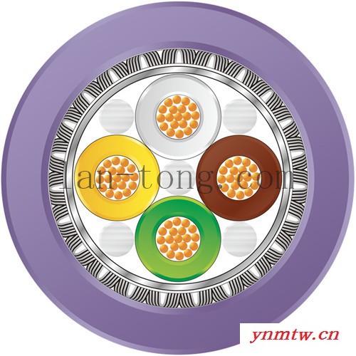 canbus通讯电缆工业现场总线系统电缆1*2*0.34一对两线双绞屏蔽图1