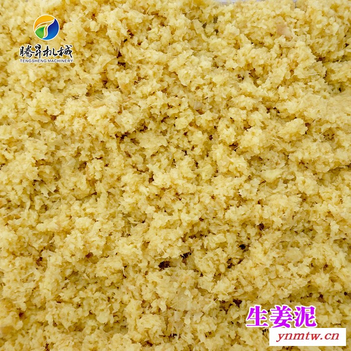 腾昇TS-S68大型食物打碎机 根茎瓜果打碎机 红薯破碎机 打碎机现货直销图7