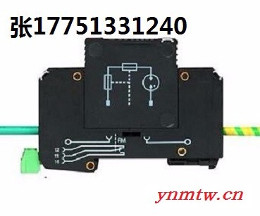 F-MS25-PVT/FM击穿保险接地保护装置图2