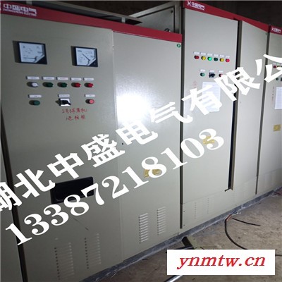 【湖北中盛】专业球磨机水阻软启动柜破碎机液态电阻软起动柜河南供应商图4