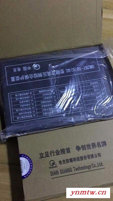 电光WZBQ-6型微机监控保护装置图7