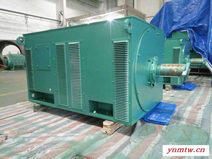 西安西玛电机YR7104-12 900KW 6KV IP23破碎机专用绕线高压电机图3
