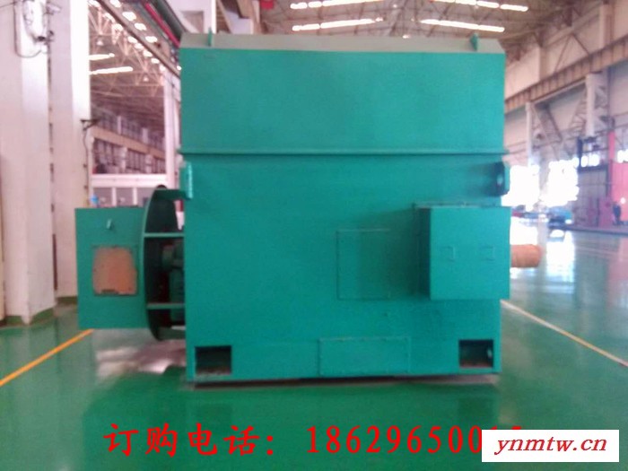 西安西玛电机YR7104-12 900KW 6KV IP23破碎机专用绕线高压电机图2
