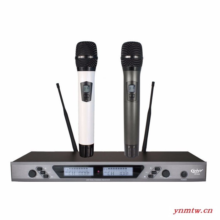 GOLDmicphone金麦风 GM6650一拖二无线手持麦克风话筒  KTV舞台演出话筒 会议话筒 视频会议系统