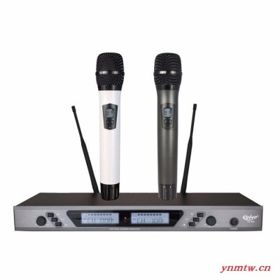 GOLDmicphone金麦风 GM6650一拖二无线手持麦克风话筒  KTV舞台演出话筒 会议话筒 视频会议系统