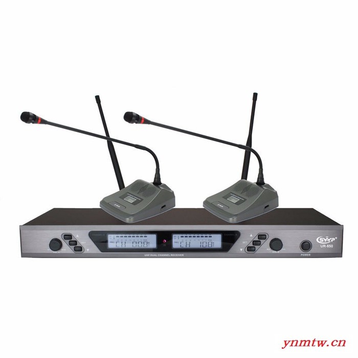 GOLDmicphone金麦风 GM6650一拖二无线手持麦克风话筒  KTV舞台演出话筒 会议话筒 视频会议系统图3