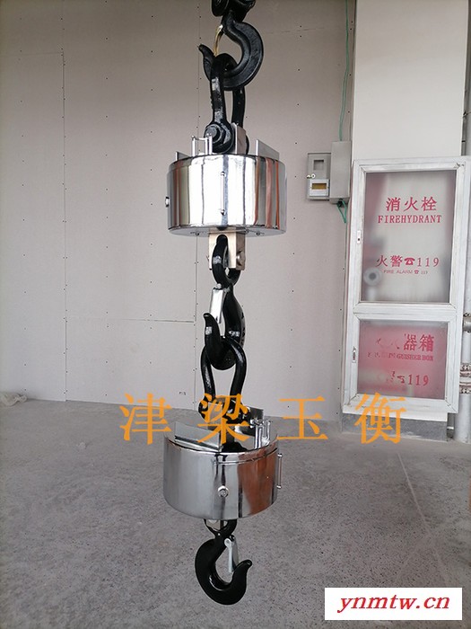 无线数传式遥控吊秤1T-100T/吊钩磅秤检测计重，ocs系统，cranescale，天车秤，行车秤，图7
