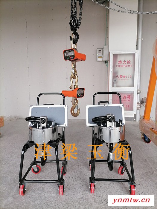 无线数传式遥控吊秤1T-100T/吊钩磅秤检测计重，ocs系统，cranescale，天车秤，行车秤，图6