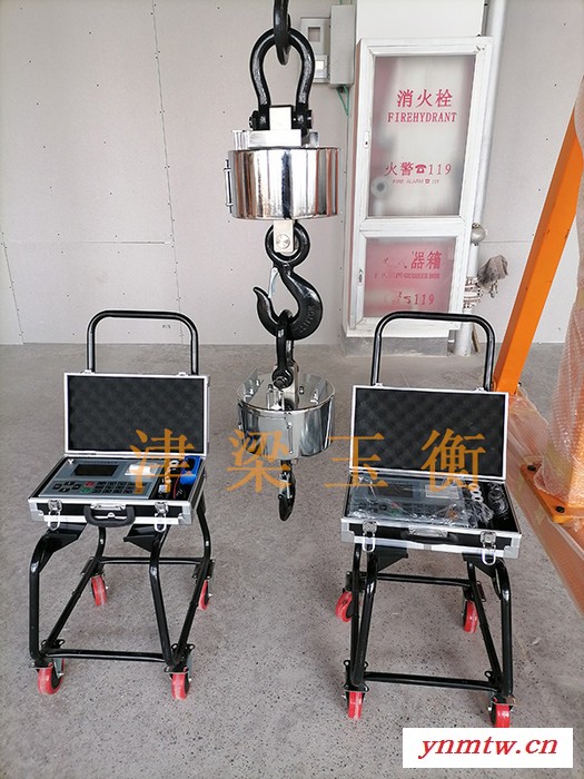 无线数传式遥控吊秤1T-100T/吊钩磅秤检测计重，ocs系统，cranescale，天车秤，行车秤，图5