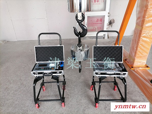 无线数传式遥控吊秤1T-100T/吊钩磅秤检测计重，ocs系统，cranescale，天车秤，行车秤，图4