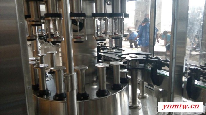 新疆地区葡萄酒生产线设备、葡萄酒灌装设备、葡萄除梗破碎机专业生产厂家 饮料加工设备