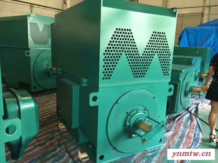 YRKK5004-8 500KW 6KV IP44/IP54 破碎机西玛绕线型高压电机 西玛电机YRKK 6KV高压图3