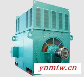 YRKK5001-10 280KW 6KV IP44/IP54 破碎机专用西玛绕线型高压电机 西玛电机图3