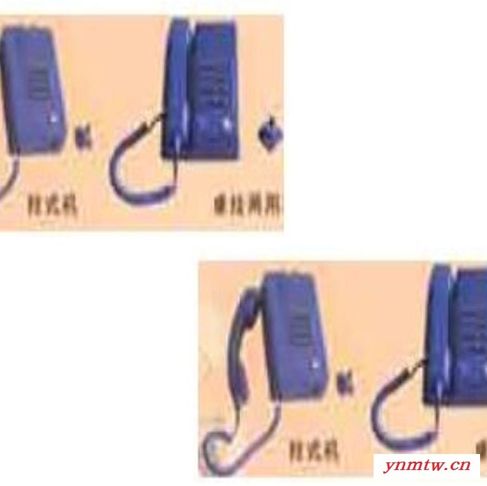 TES/泰仕 煤矿用本质安全型自动电话机 库号：M30554