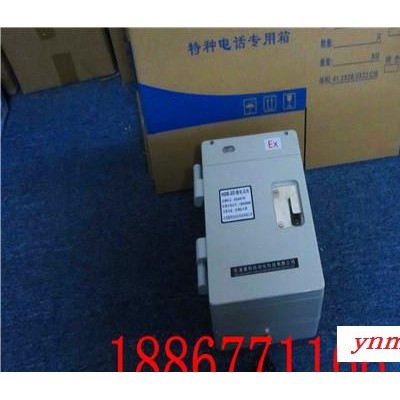工业特种防爆电话机 抗燥音矿用电话机HDB-2