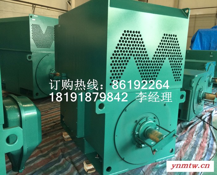 YRKK6301-10 710KW 6KV IP44/IP54 破碎机专用西玛绕线型高压电机 西玛电机图1