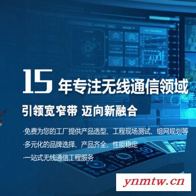 锐河天馈器件 FKD-PA-N2 室内全向天线 无线对讲系统  大增益 低损耗