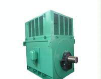 西安泰富西玛YR7101-10 1400KW 6KV高压电机 破碎机专用