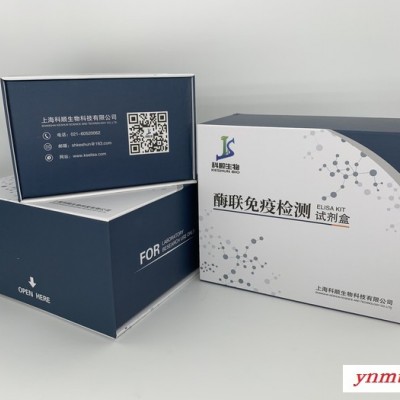 人抗信号识别颗粒抗体(SRP)ELISA试剂盒