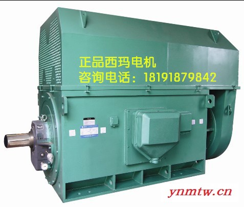 YKK4005-6 280KW 6KV IP54 破碎机专用西玛绕线型高压电机 西玛YKK 6KV高压电机图3