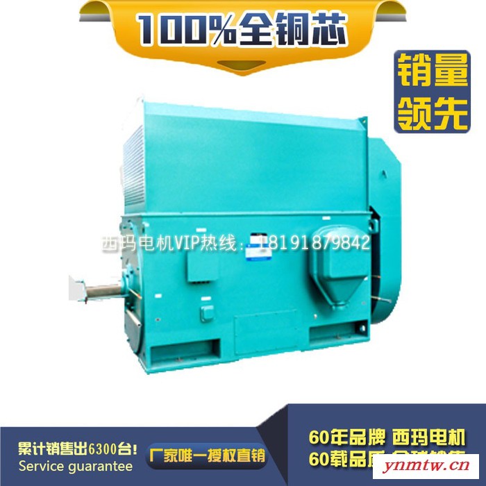 YKK7101-6 1800KW 6KV IP54 破碎机专用西玛绕线型高压电机 西玛YKK 6KV高压电机图3
