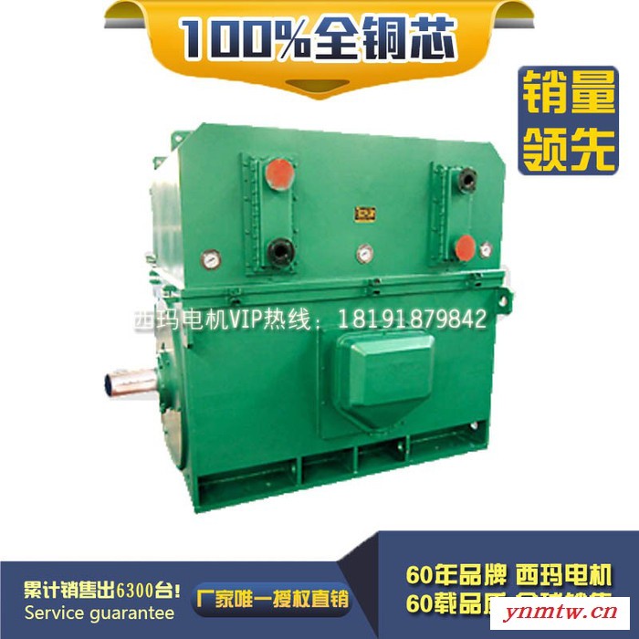 YKK7101-6 1800KW 6KV IP54 破碎机专用西玛绕线型高压电机 西玛YKK 6KV高压电机图2