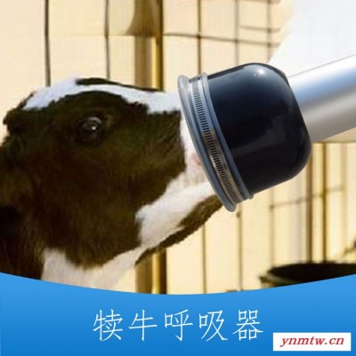 小牛呼吸器 小牛呼吸器价格 小牛呼吸器厂家现货供应