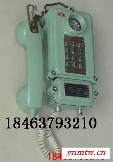 其他专用仪器仪表KTH-33矿用电话机,本安电话机价格，供应商，厂家，山东图3