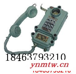 其他专用仪器仪表HBZ（G）K-1型矿用本安型防爆电话机价格，供应商，厂家，山东