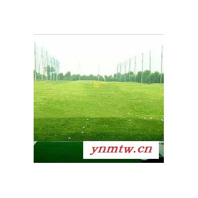 振鸿护栏网 京式护栏 市政交通围栏京式护栏黄金道路护栏人车分离栏