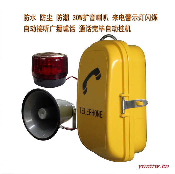 供应派斯特PT-FSP2矿用隧道扩音广播电话机图2