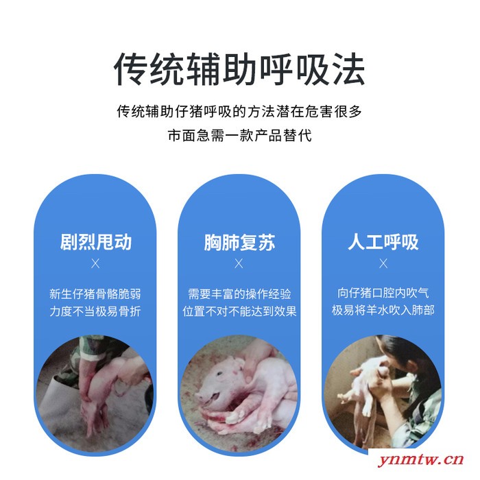 北牧鑫猪呼吸器 性价比高图4