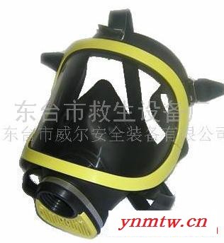 供应防毒面罩 防毒气全面罩 防毒面具 防油漆全面罩  空气呼吸器面罩图5