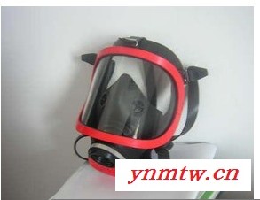 供应防毒面罩 防毒气全面罩 防毒面具 防油漆全面罩  空气呼吸器面罩图4