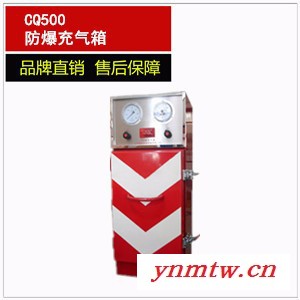 供应防爆充气箱 CQ500防爆充气箱 充气柜 空气呼吸器充气箱 充气箱