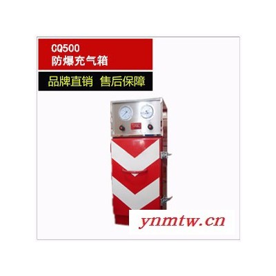 供应防爆充气箱 CQ500防爆充气箱 充气柜 空气呼吸器充气箱 充气箱
