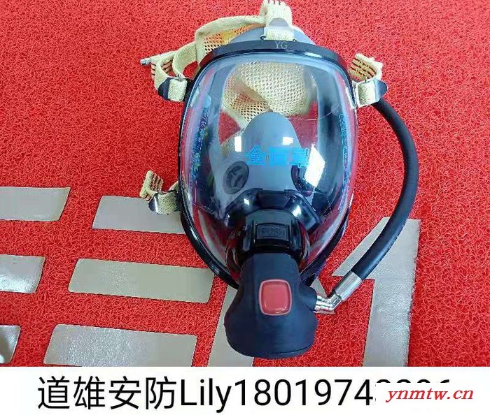 道雄DOSEEM正压式消防空气呼吸器RHZK9 安全高效价格合理图1
