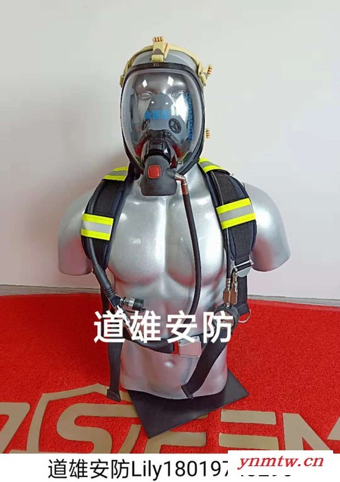 道雄DOSEEM正压式消防空气呼吸器RHZK9 安全高效价格合理图2