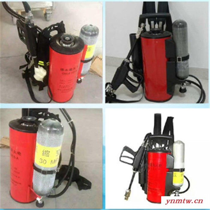 移动式高压细水雾灭火器 推车式高压细水雾灭火器 高压细水灭火装置图6